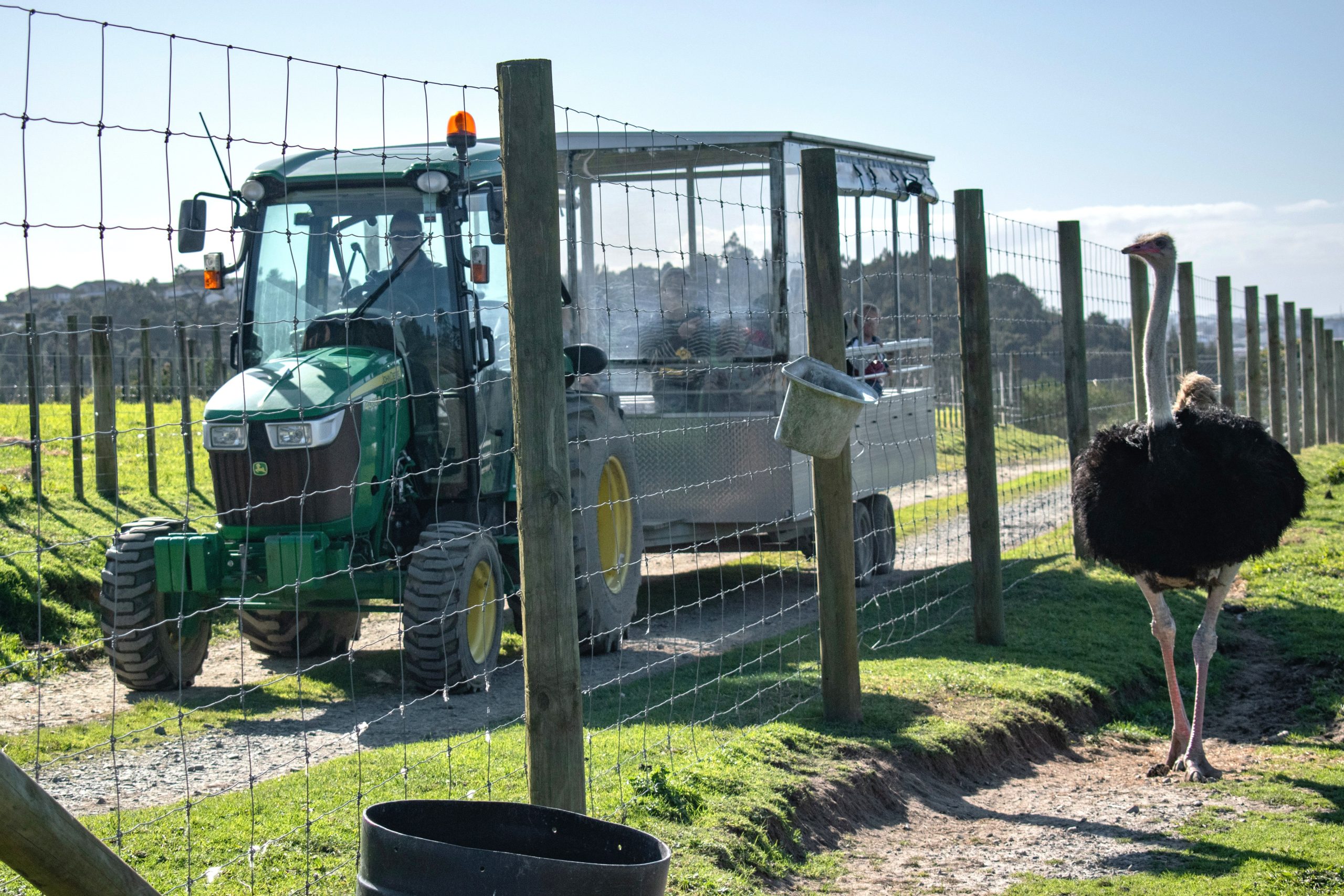 8988FD6F-4489-4807-827A-653AAF51CA5D222